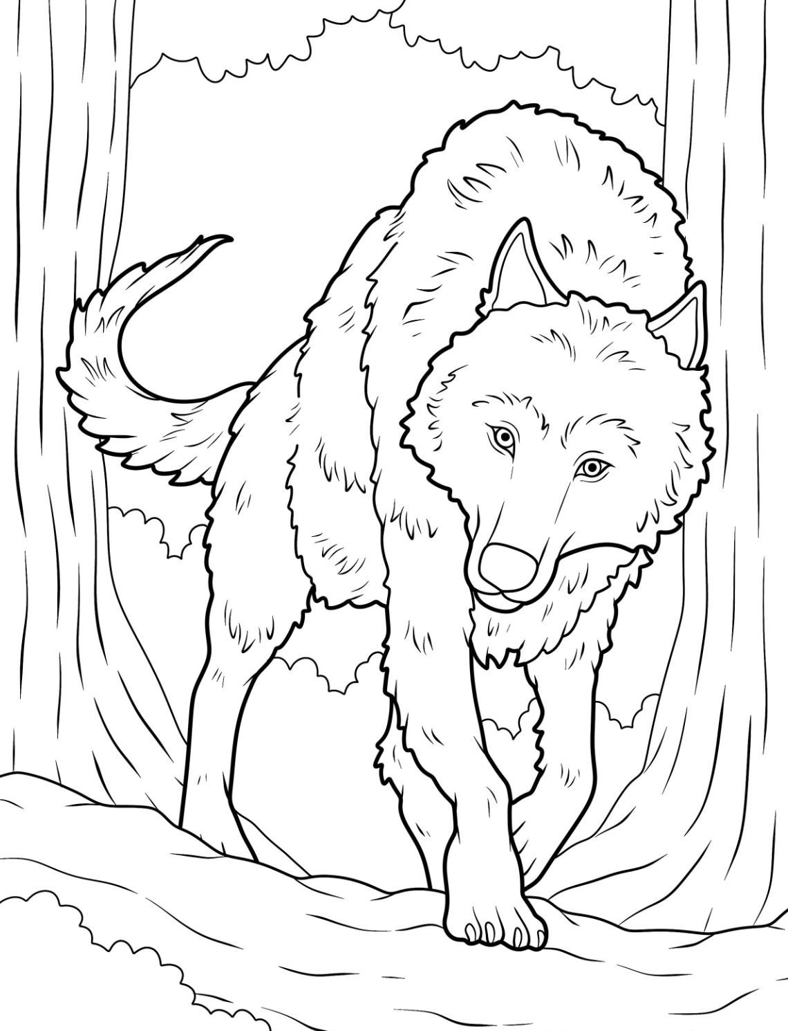 Coloriage Loup 10