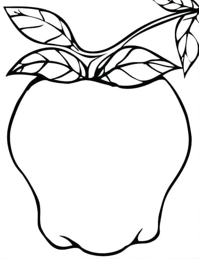 Coloriage Pommes 38