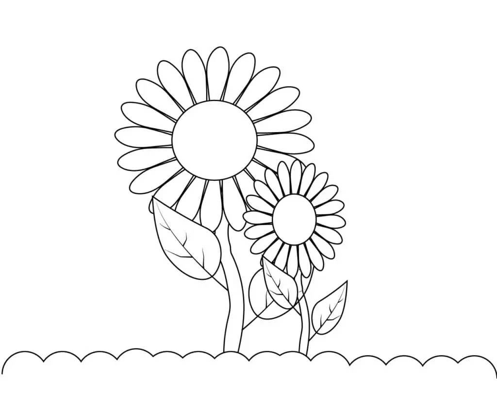 Coloriage Tournesol 10