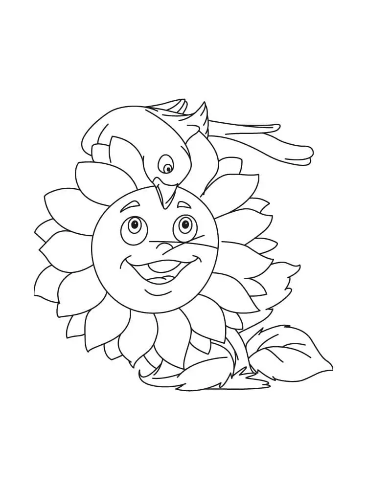 Coloriage Tournesol 11