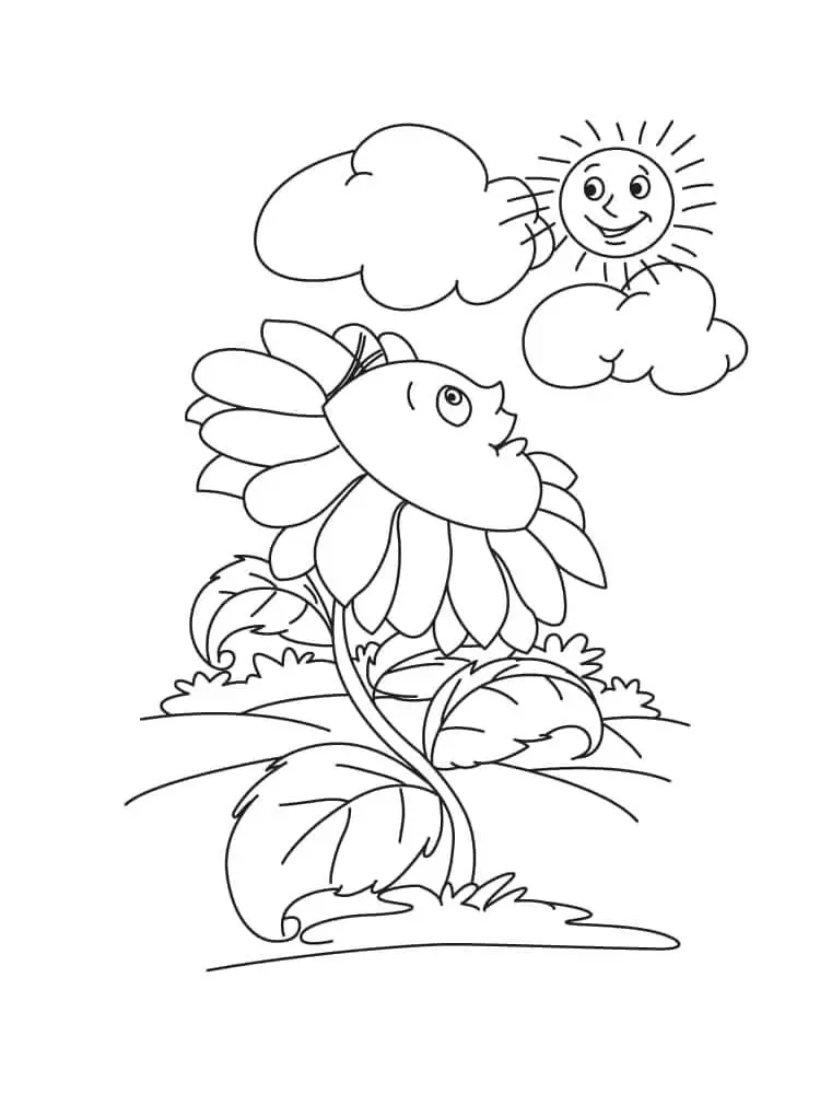 Coloriage Tournesol 7