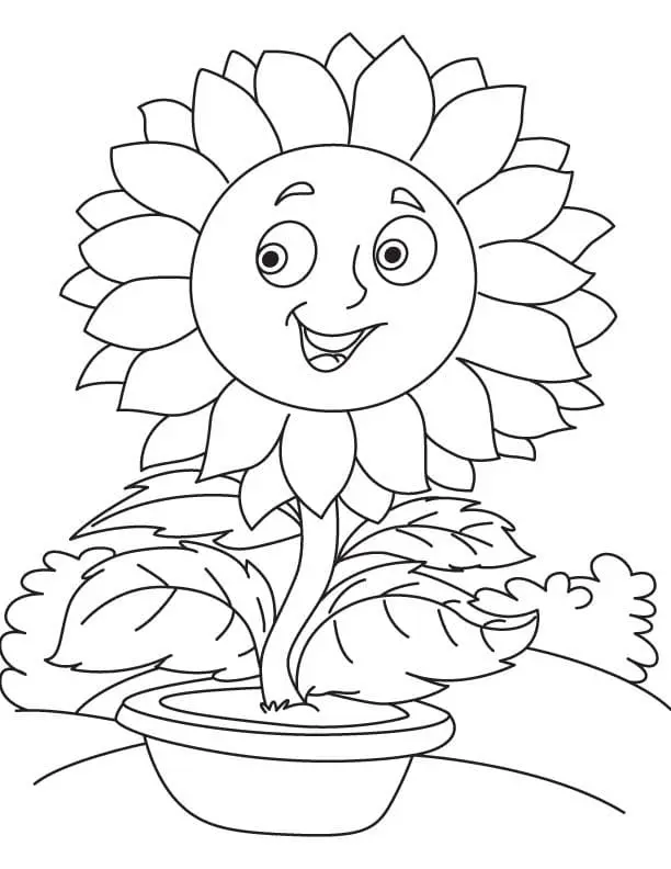 Coloriage Tournesol