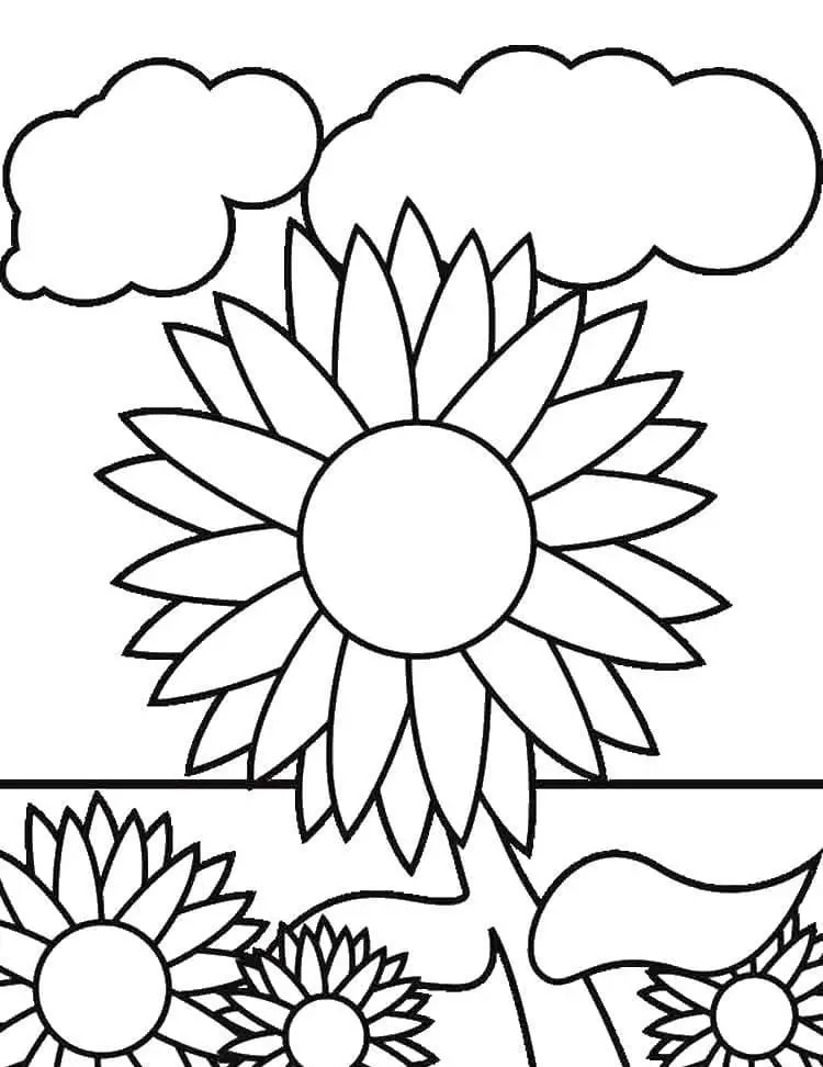 Coloriage Tournesol 32