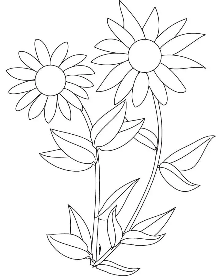 Coloriage Tournesol 28