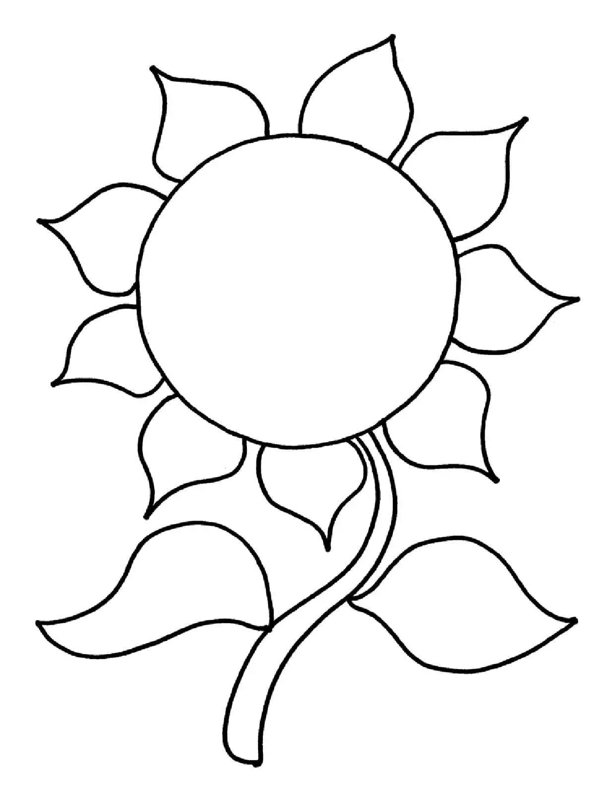 Coloriage Tournesol 26