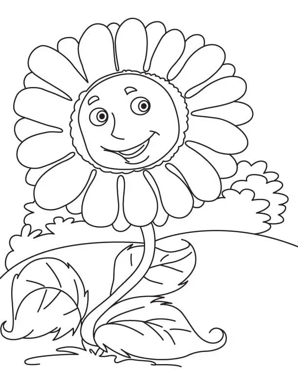 Coloriage Tournesol 23