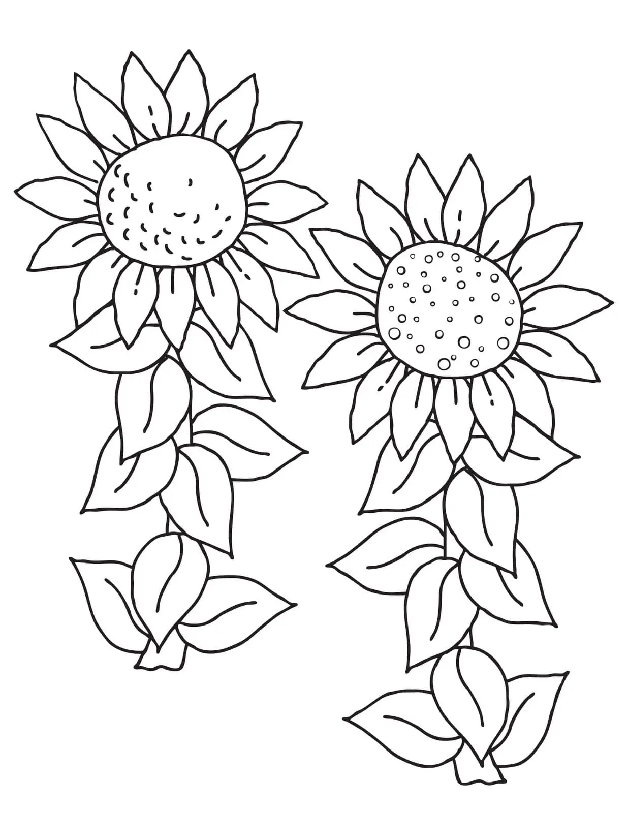 Coloriage Tournesol 24