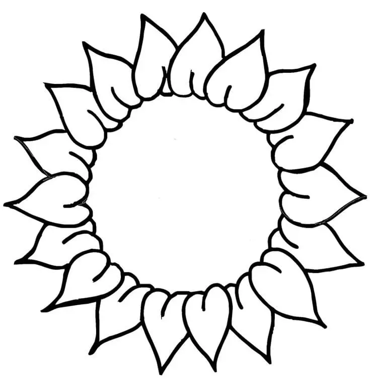 Coloriage Tournesol 20