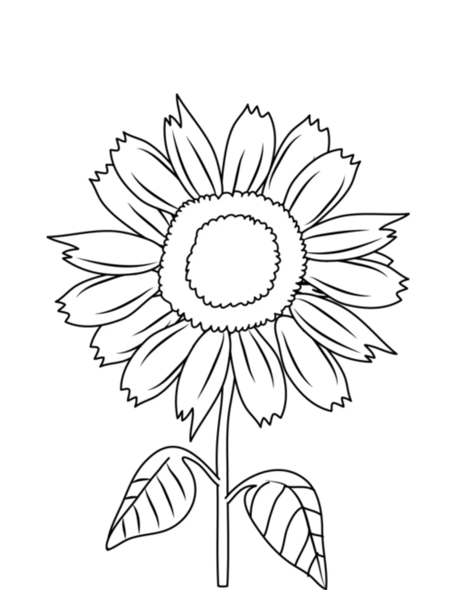 Coloriage Tournesol 18