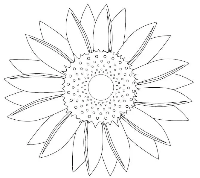 Coloriage Tournesol 17