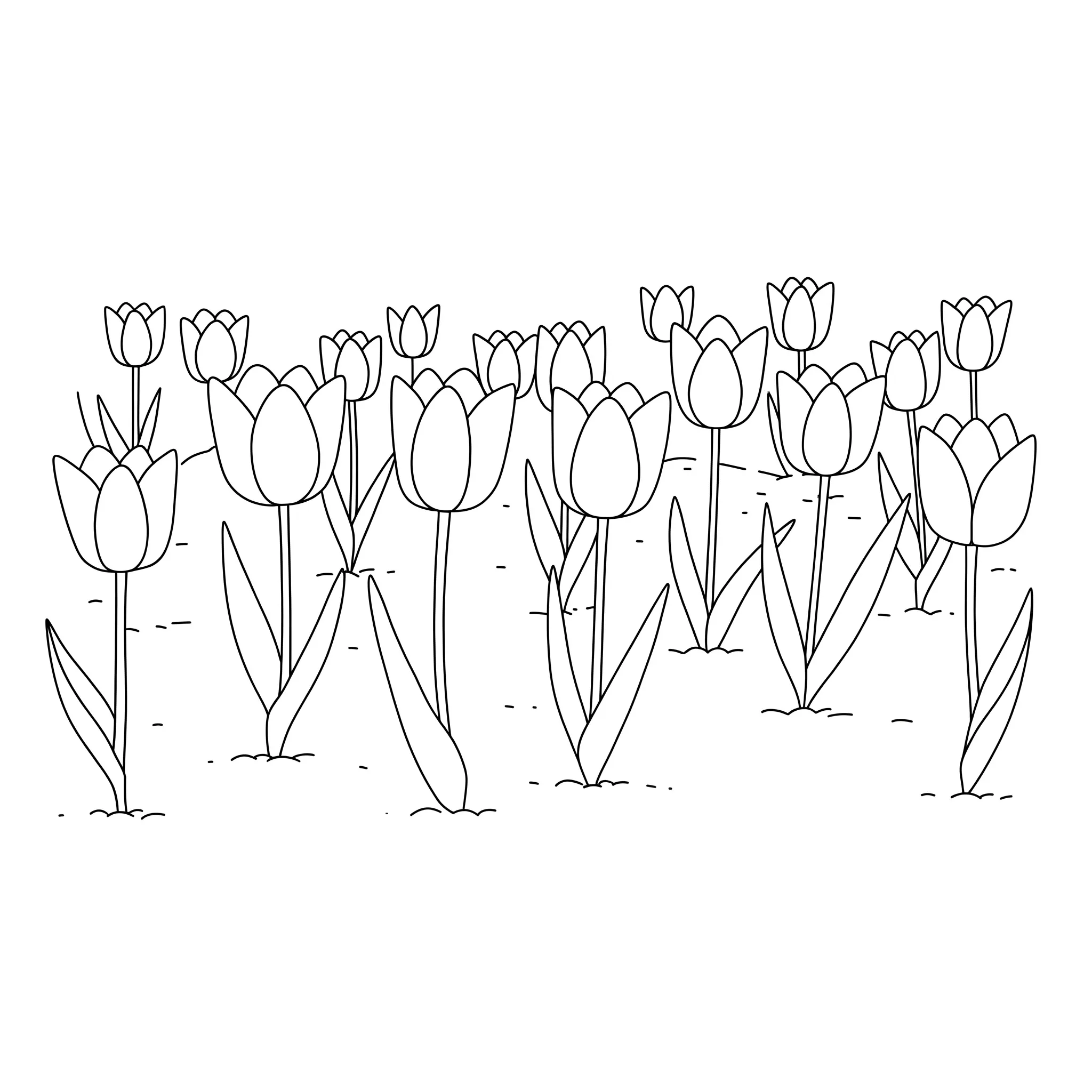 coloriage Champ de tulipes educatif pour enfant