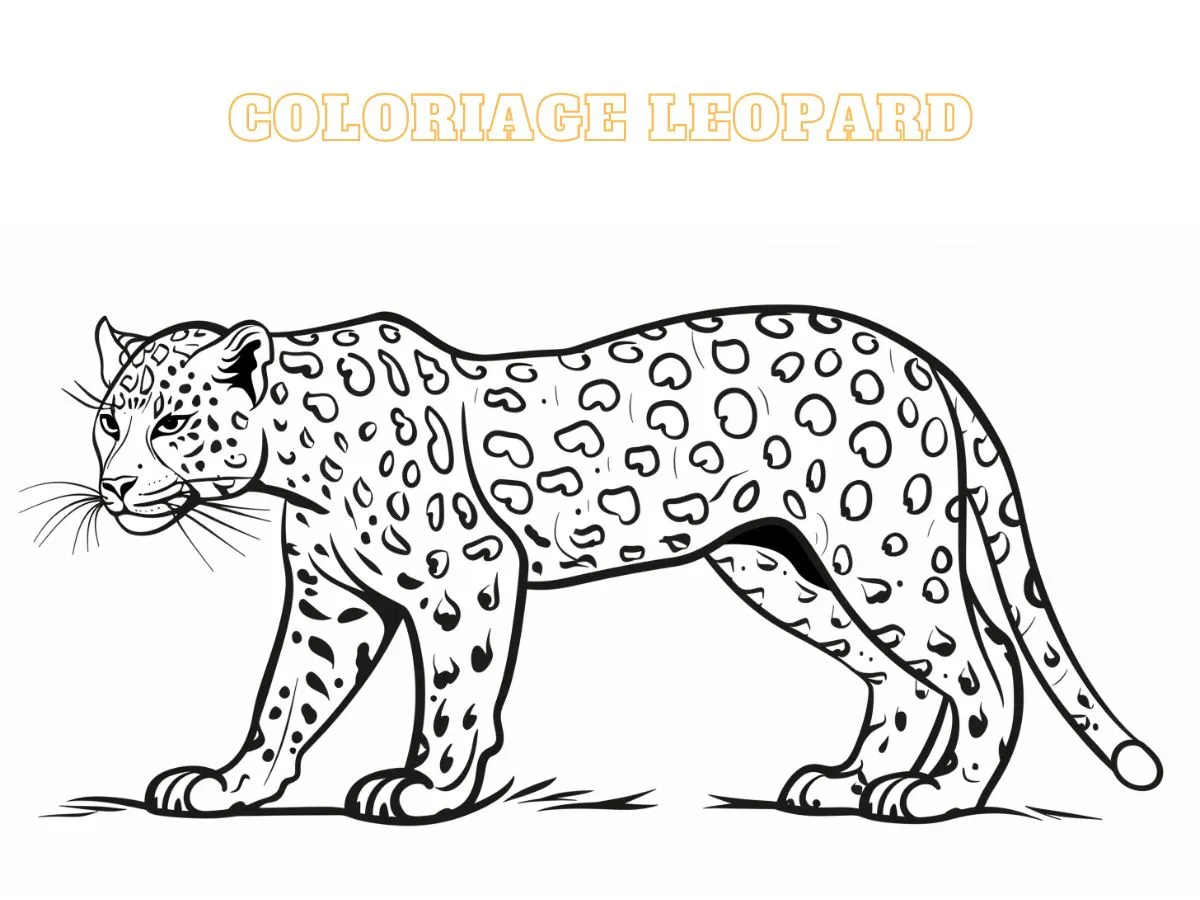 coloriage Leopard pour enfant de 8 ans