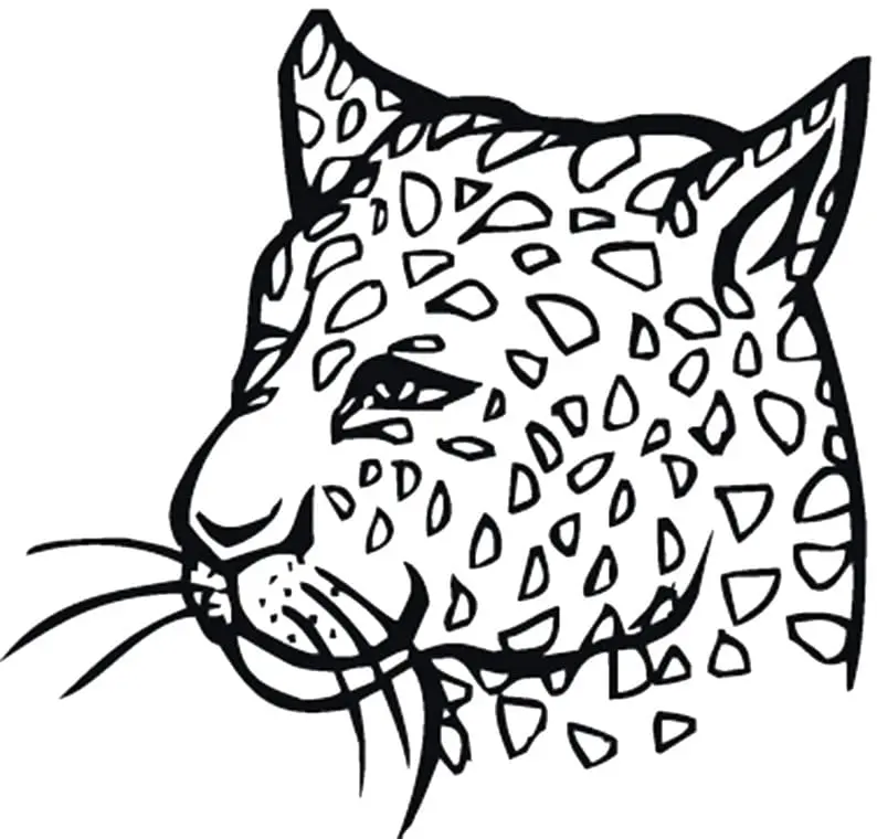 coloriage Leopard et découpage à imprimer