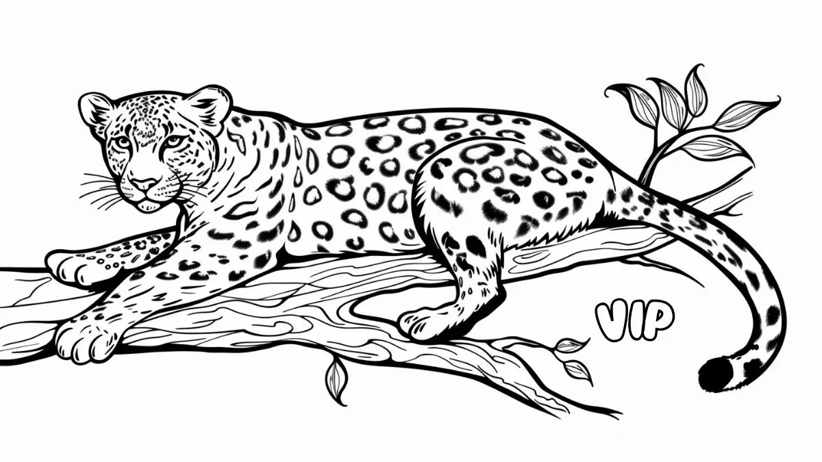 coloriage Leopard pour enfant de 5 ans