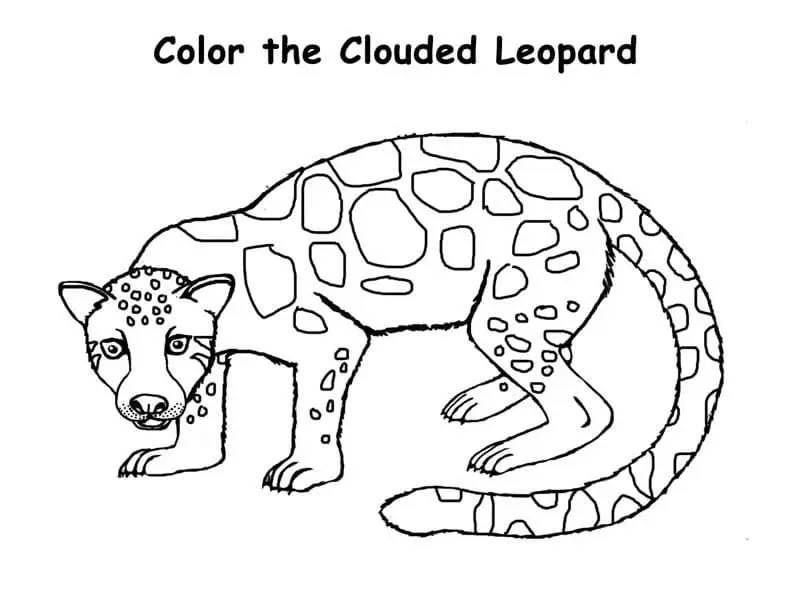 coloriage Leopard pour enfant de 6 ans 1