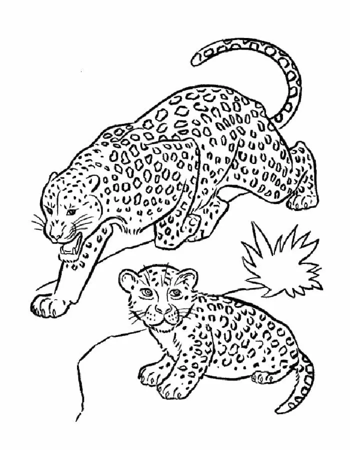 coloriage Leopard a colorier en ligne