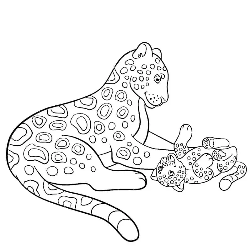 coloriage Leopard à imprimer pdf