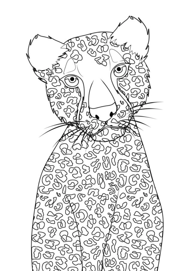 coloriage Leopard à imprimer pour enfant de 4 ans