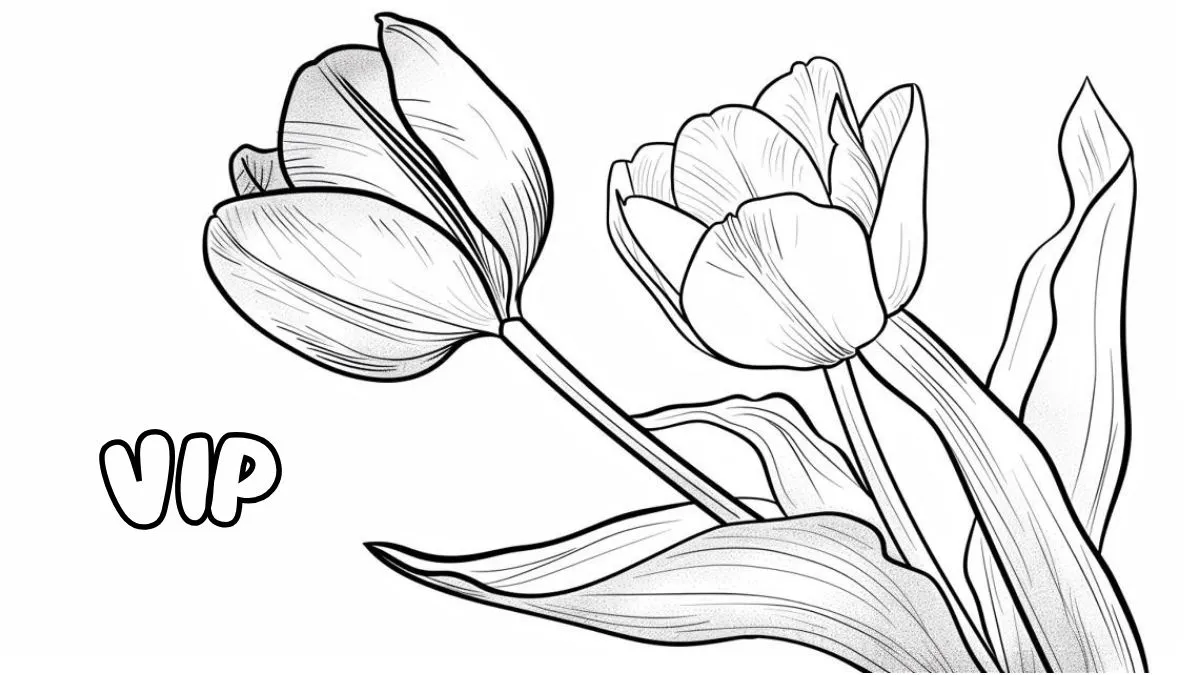 coloriage Tulip et decoupage