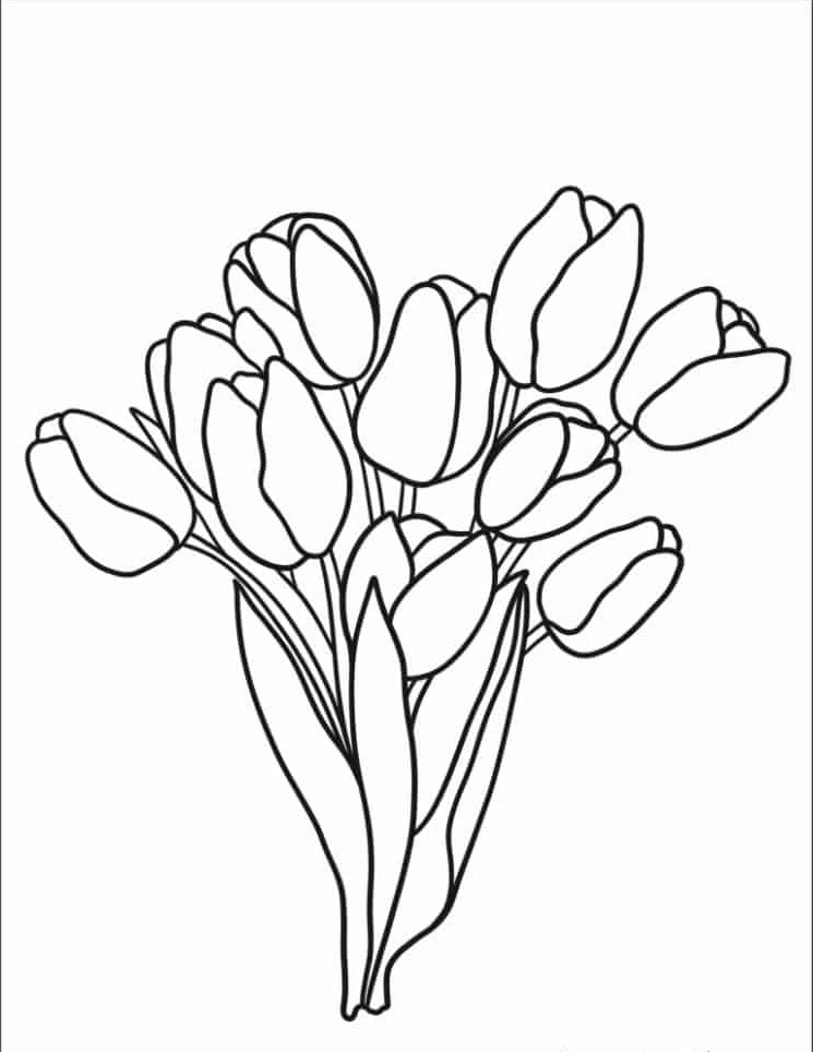 coloriage Tulip à imprimer pour enfant de 4 ans 1