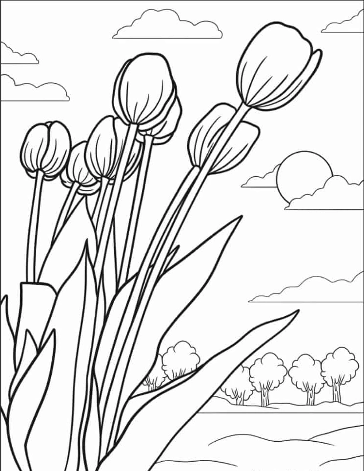 coloriage Tulip a imprimer