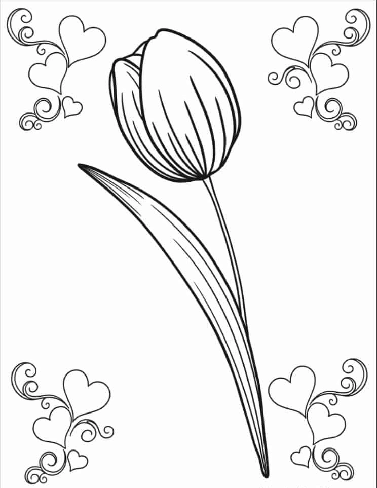 coloriage Tulip en ligne 1