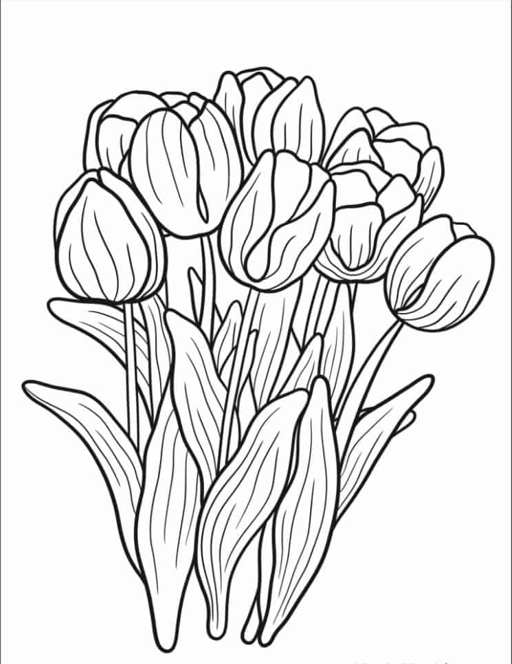 coloriage Tulip a imprimer pour enfant de 4 ans