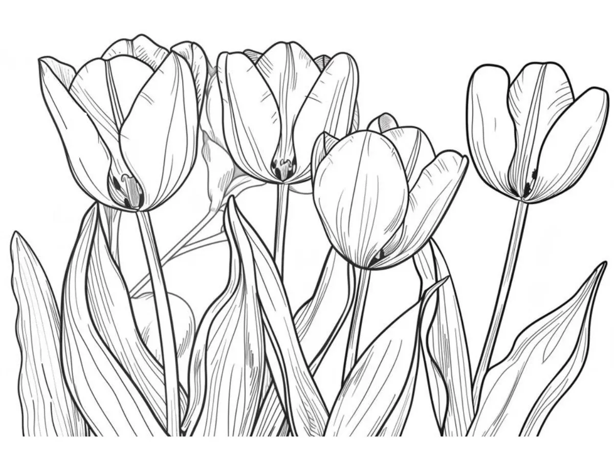 coloriage Tulip gratuit