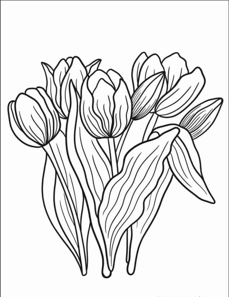 coloriage Tulip à imprimer pour enfant de 4 ans 3