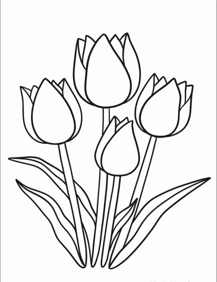 coloriage Tulip à imprimer pour enfant de 4 ans 2