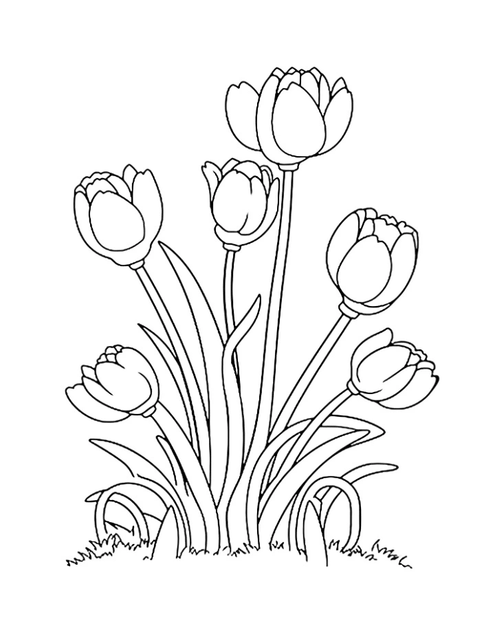 coloriage Tulip à imprimer kawaii