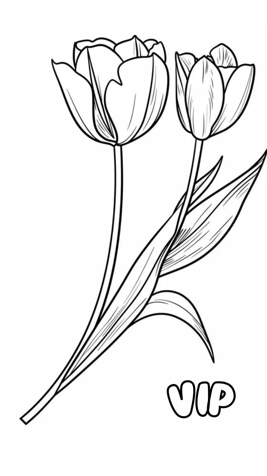 coloriage Tulip pour enfant de à imprimer