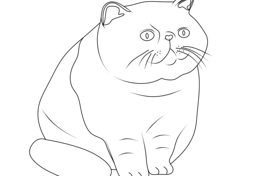 coloriage Chat à imprimer pour enfant de 4 ans