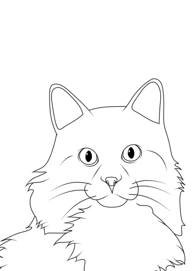 coloriage Chat d'enfant a imprimer