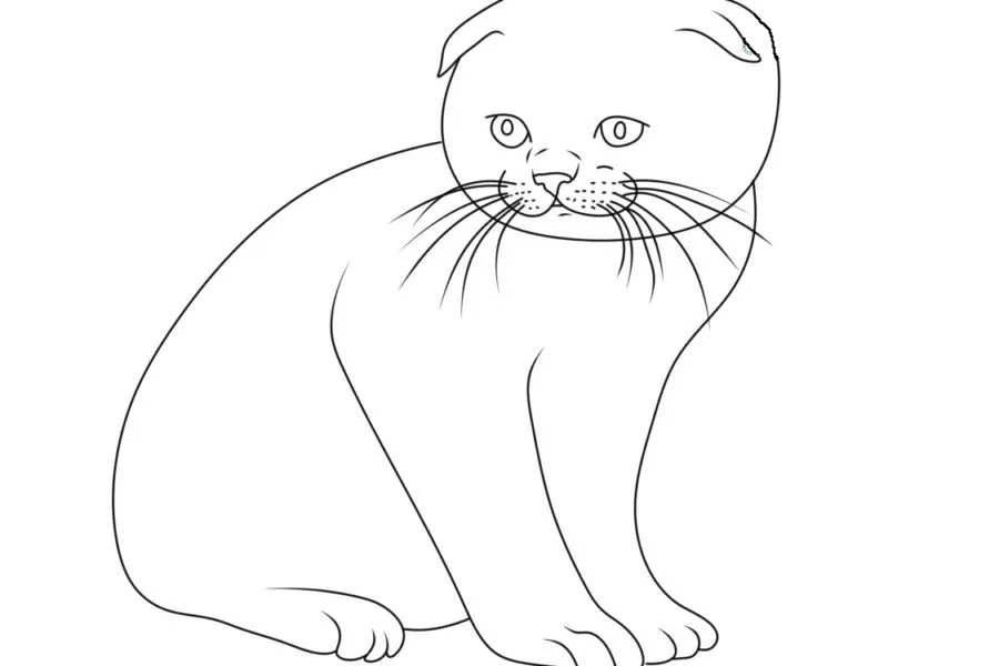 coloriage Chat pour enfant à imprimer 1