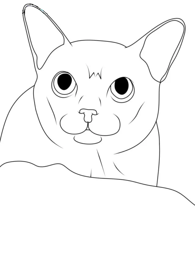 imprimer coloriage Chat pour enfant 1