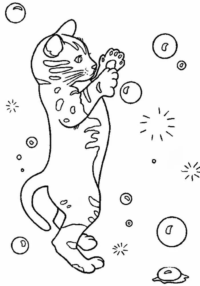 imprimer coloriage Chat