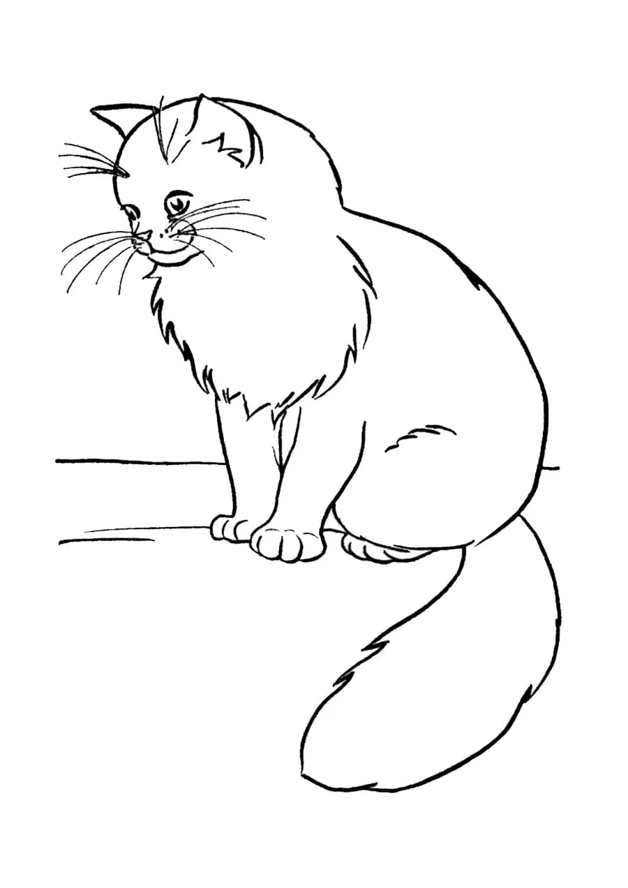 imprimer coloriage Chat pour enfant 2