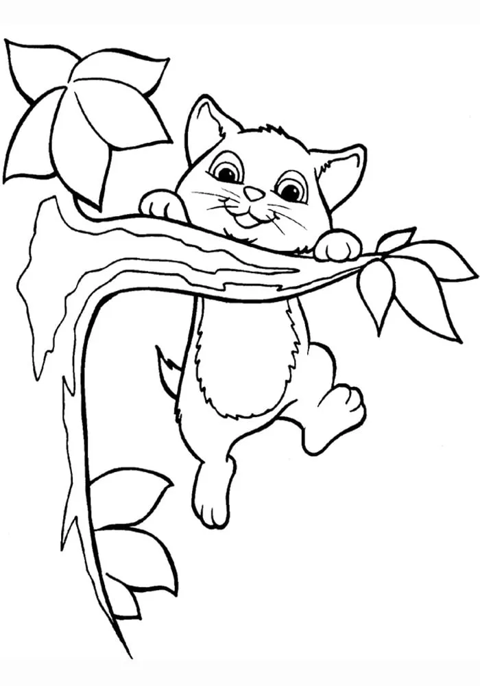 coloriage Chat à imprimer pdf 1