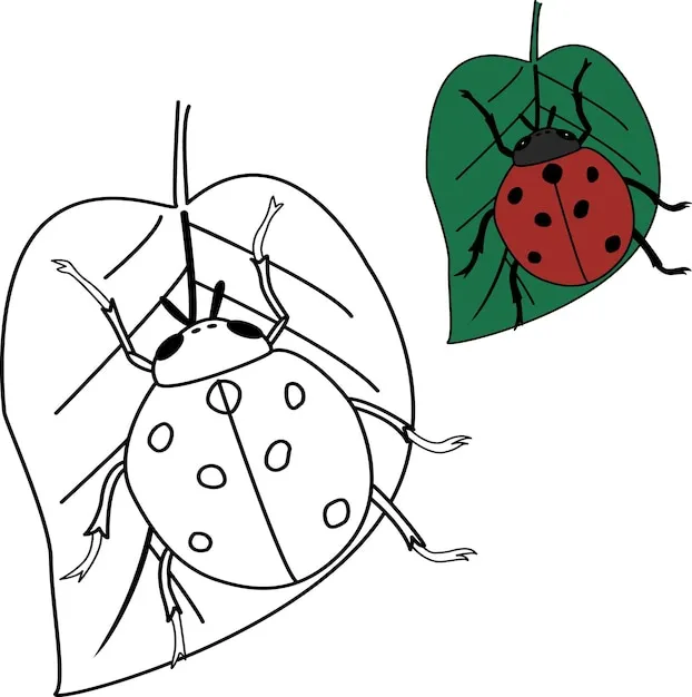 coloriage Coccinelle pour primaire