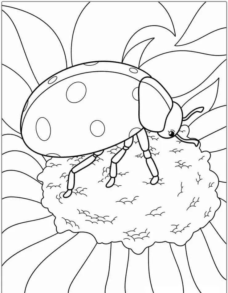 coloriage Coccinelle à imprimer pour enfant de 6 ans