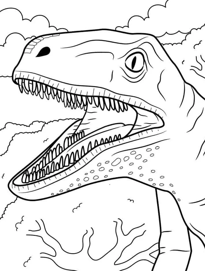 coloriage Dinosaures pour enfant à imprimer 3