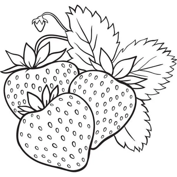 coloriage Fraise gratuit à imprimer