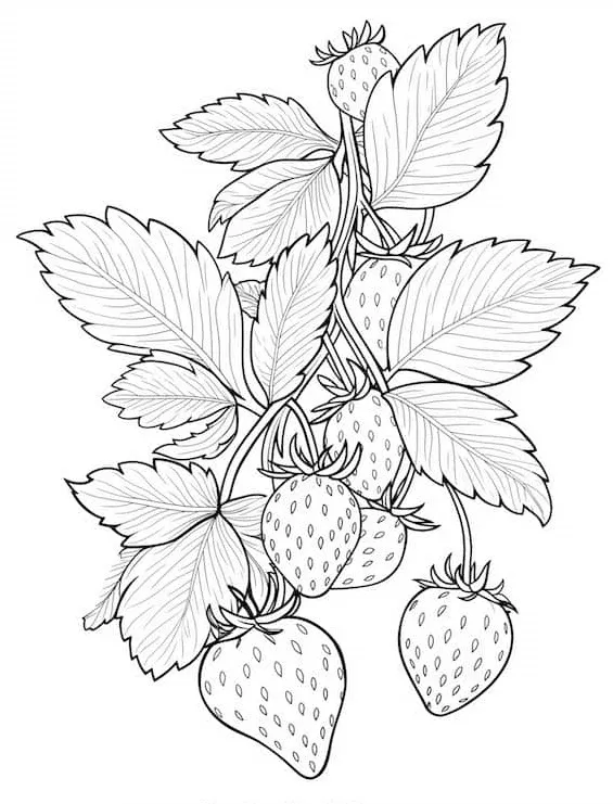 coloriage Fraise à imprimer pour enfant de 9 ans