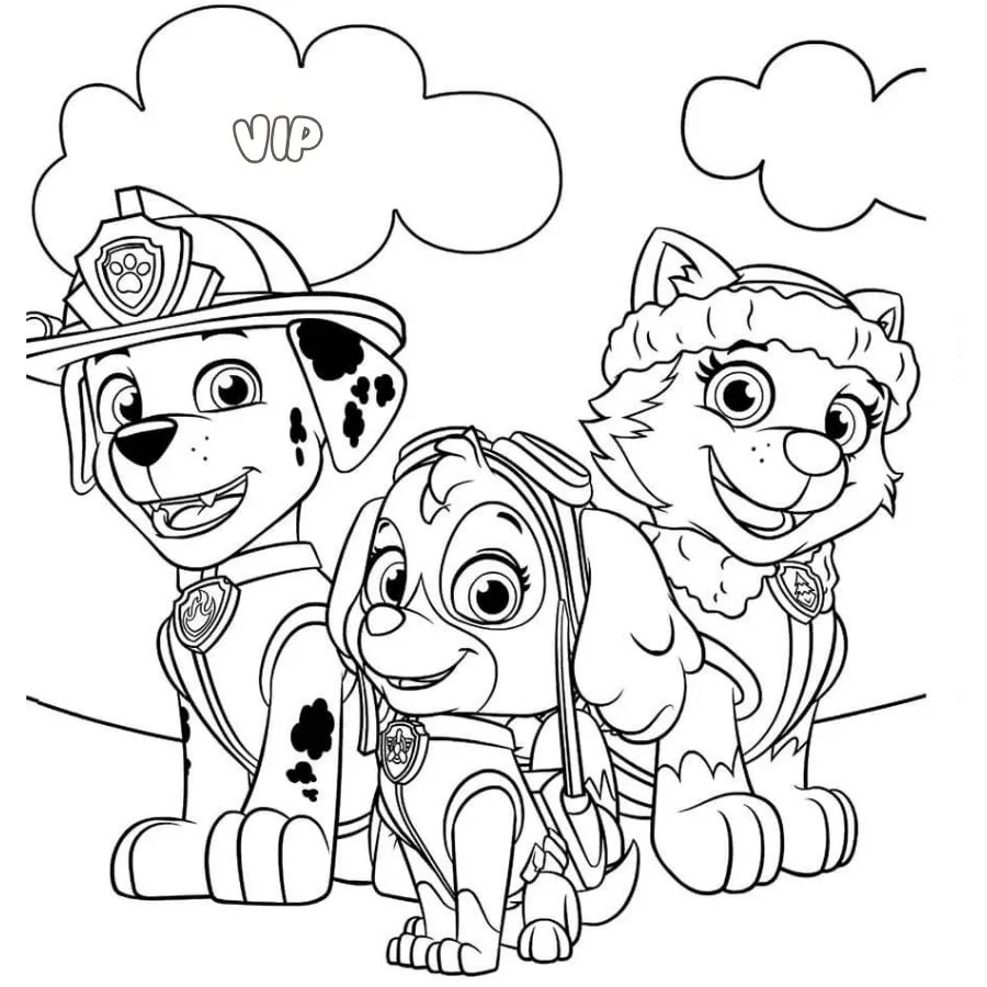 coloriage Pat Patrouille educatif pour enfant