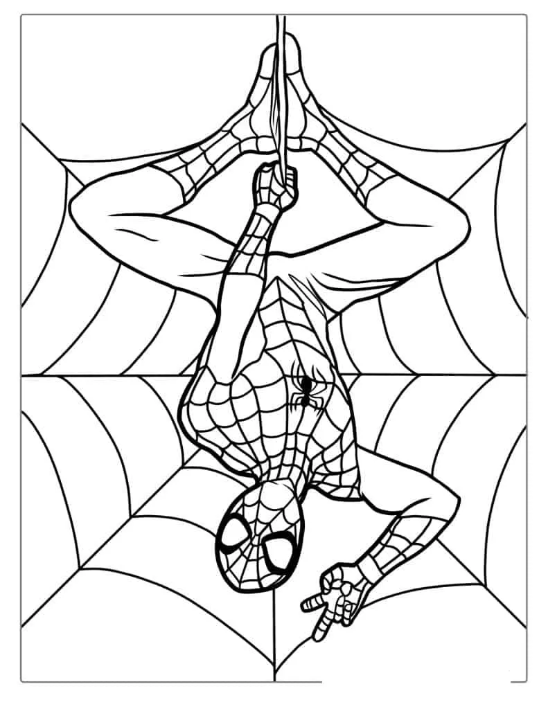 coloriage Spider Man pour enfant gratuit 2