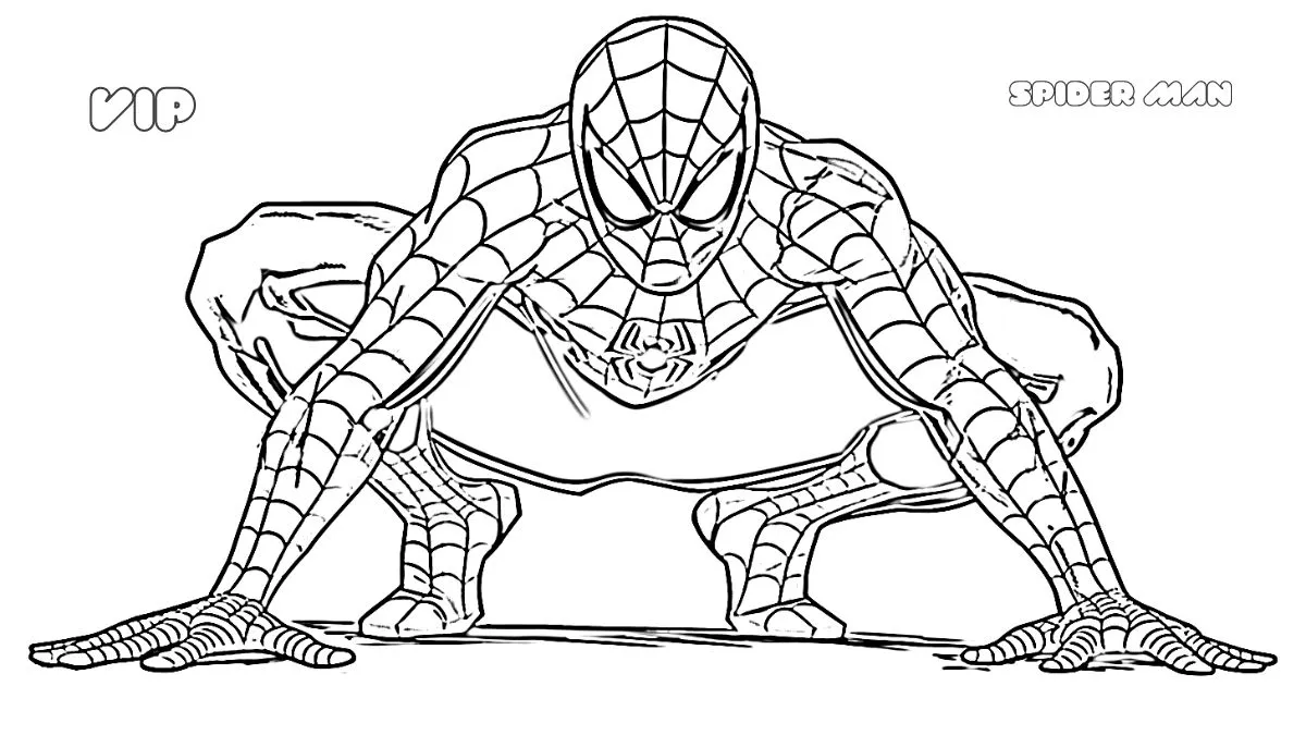 coloriage Spider Man a imprimer pour enfant de 4 ans