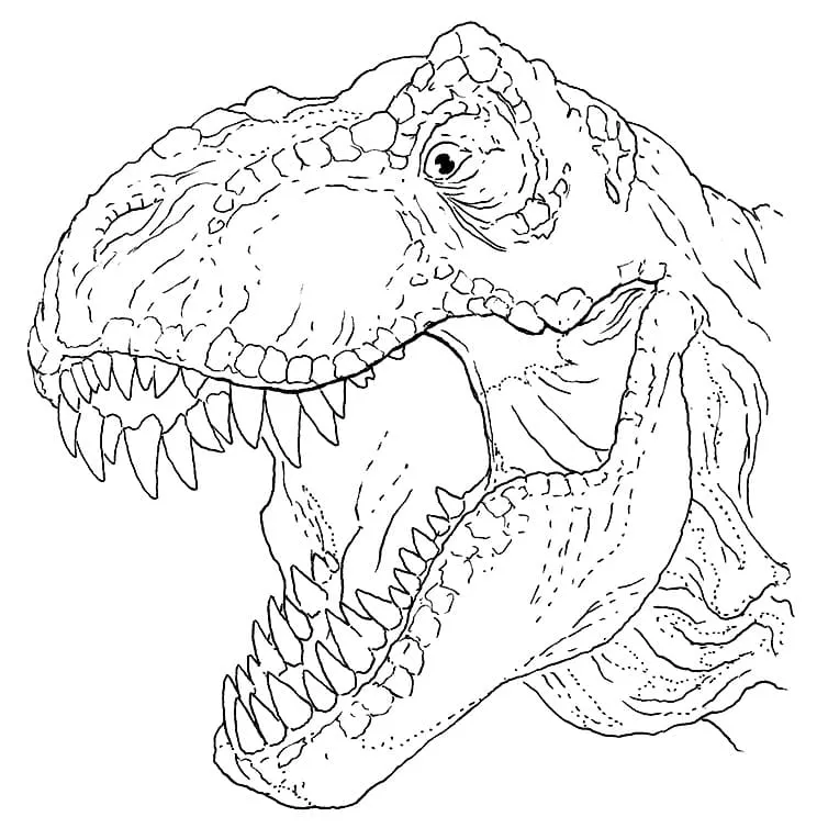 coloriage T Rex à imprimer pour enfant de 4 ans