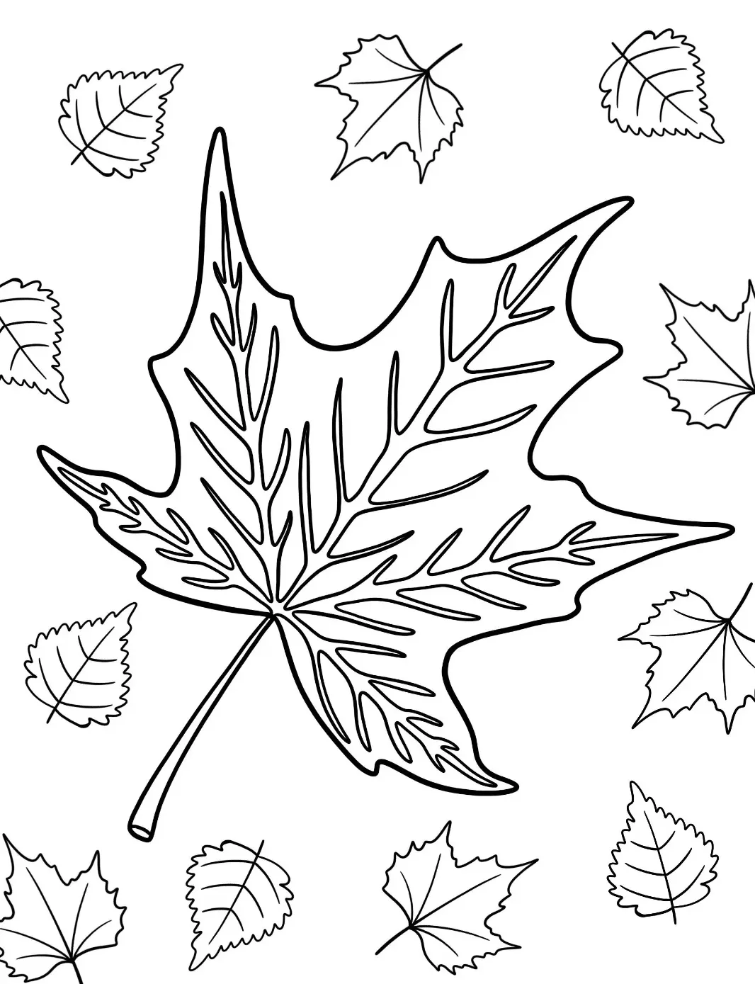 coloriage Automne et dessins 1