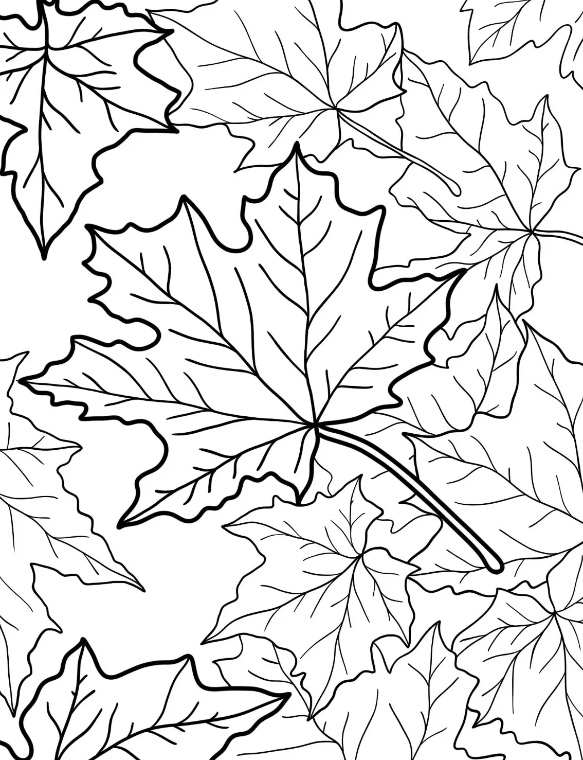 coloriage Automne et dessin a imprimer